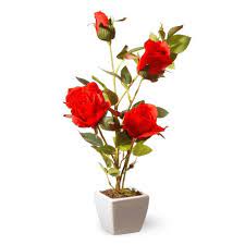 Check spelling or type a new query. 15 Red Rose Flower National Tree Company Target