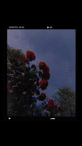 Find over 100+ of the best free grunge aesthetic images. Aesthetic Wallpaper Red Flowers Grunge Aesthetic Black Wallpapers Black Aesthetic Wallpaper Iphone Wallpaper Tumblr Aesthetic Aesthetic Iphone Wallpaper