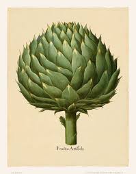 These Beautiful Prints Are Reproductions Of The Famous Hortus Eystettensis Originally Done By Basiliu Botanical Illustration Nature Prints Botanical Drawings