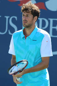 Great sportsmanship from michael mmoh vs rafael nadal i australian. Robin Haase Wikipedia