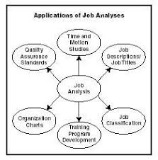 21 Best Job Analysis Images Job Analysis Human Resources