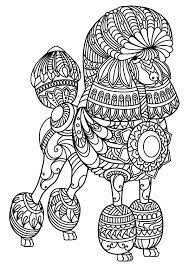 Free poodle animal printable coloring pages download. Pin On Adult Coloring