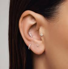 Image result for Tragus