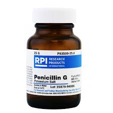 Image result for Penicillin
