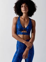 Twist In Blue Snake