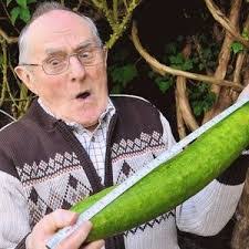 Jeffrey Boswell's Instagram, Twitter & Facebook