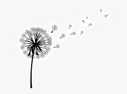 Check spelling or type a new query. Clip Art Image Vector Graphics Dandelion Coffee Dandelion Black And White Transparent Hd Png Download Kindpng