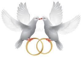 Wedding Doves With Rings Royalty Free Illustration Wedding Doves Wedding Invitation Background Love And Marriage