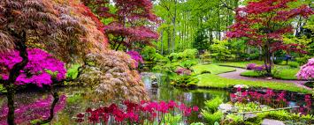 The waterfall, of which there are ten or more different arrangements; Top 23 Zen Garden Ideas For Peace And Quiet J L Landscapes