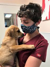 Posted on may 17, 2014. Veterinary Practice In A Pandemic Six Experiences News Vin