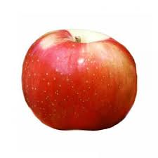 Pick Your Own Zestar Apples Washington Apple Apple Apple Dumplings