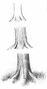Check spelling or type a new query. How To Draw Trees With Pencil Dibujos De Arboles Tutoriales De Dibujo Para Principiantes Dibujos Para Principiantes