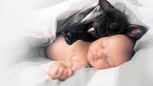 Baby And French Bulldog Who Share Birthday Are Best Friends