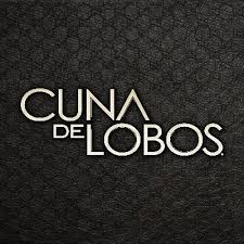 We did not find results for: Cuna De Lobos Cunadelobos Of Twitter