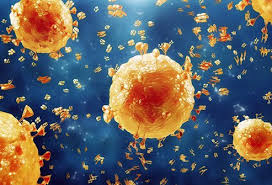 Flu is a respiratory illness that a virus causes. Swine Flu Symptoms Vaccination Treatment Causes Incubation Period