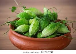 Image result for Momordica balsamina