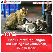 We did not find results for: Animal Stories Indonesia Beitrage Facebook