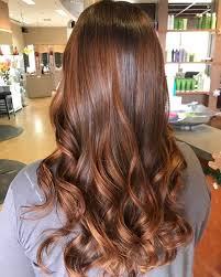 Search for hair highlights in these categories. 50 Breathtaking Auburn Hair Ideas To Level Up Your Look In 2020
