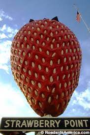 Maybe you would like to learn more about one of these? World S Largest Strawberry Strawberry Point Iowa