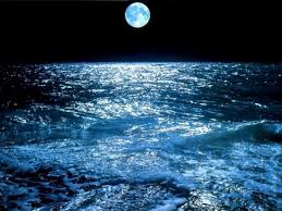 reflection for today live your questions rainer maria rilke ocean at night beautiful moon what element are you