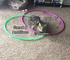 Many different cats in a variety of situations. Venn Diagram Cat Memetemplatesofficial