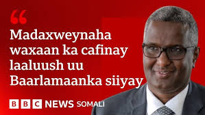 Bashaalki manta iyo jawi macaan/ vlog