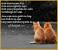 Good Morning Quotes Tagalog Funny