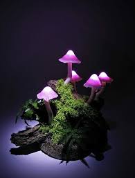 Mushroom Lamp Consisting Of Five Single Mushroom Lights Used As A Night Light Or As Magic Decoration Mushroom Lights Magic Decorations Mushroom Lamp