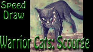 Want to make your own warrior cats world? Warrior Cats Drawing Scourge Youtube