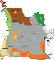 Image result for Dissotis sizenandoi