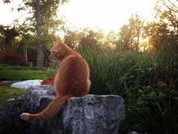 Beverly Forehand Archives