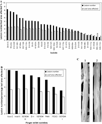 Image result for Isachne kiyalaensis