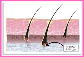 While some claim that prenatal vitamins can help with hair health and growth, it can actually be toxic to consume prenatal vitamins when you're. Do Prenatal Vitamins In Shampoo For Hair Growth Really Work