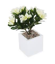 Artificial 1ft 6 Alpine Rhododendron Plant With Images Rhododendron Plant Plants Rhododendron