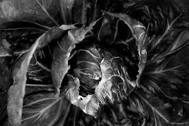 Black And White Abstract Photography Lettuce Fine Art Black And White Photography An Abstract Etsy Black And White Photography Black And White Abstract Photos