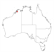 Image result for Cyclocarpa