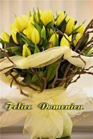 Buongiorno E Buona Domenica Con I Fiori Bellissimeimmagini It