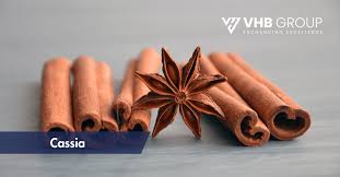 Image result for Cassia burttii