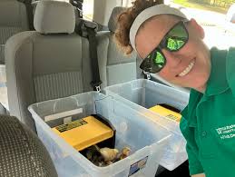 Meet the 4-H Agent- Dana Stephens- Okaloosa County, FL