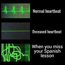 What is the meme generator? 25 Funny Duolingo Memes That Are Slightly Threatening Inspirationfeed