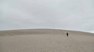 We did not find results for: Visiting Bruneau Dunes State Park Idaho Chris Sara