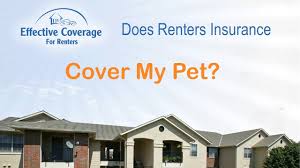 If you are a homeowner, talk to your insurance agent about what is covered under a standard homeowners policy related to dogs. Are Pets Covered Under Renters Insurance