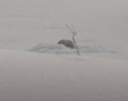 65-year-old man waits every day for his friend to crawl out of this hole and greet him – when we see what pops up, we can't help but smile... 😊 ❤️ Check