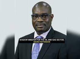 Patterson tables proposed amendments to Petroleum Activities Bill