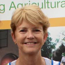 Cary Fowler (@CaryFowler_)