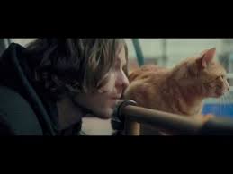 20 quotes from a street cat named bob: A Street Cat Named Bob Reviews Ratings Box Office Trailers Runtime
