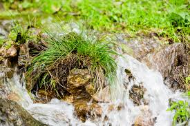Fast alle pflanzen reagieren sehr empfindlich. Drainage Wann Ist Sie Notwendig