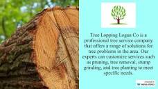Tree Service Logan - Tree Lopping Logan Co - YouTube