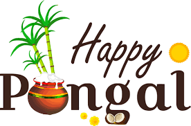 Among them is pongal, which is celebrated with great gusto every year. Pongal Font Tree Plant For Thai Pongal For Pongal 4038x2665