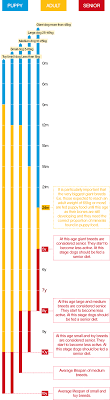 It is hard to notice weight loss or weight gain in a cat that you. Feeding Guidelines Feeding Pedigree
